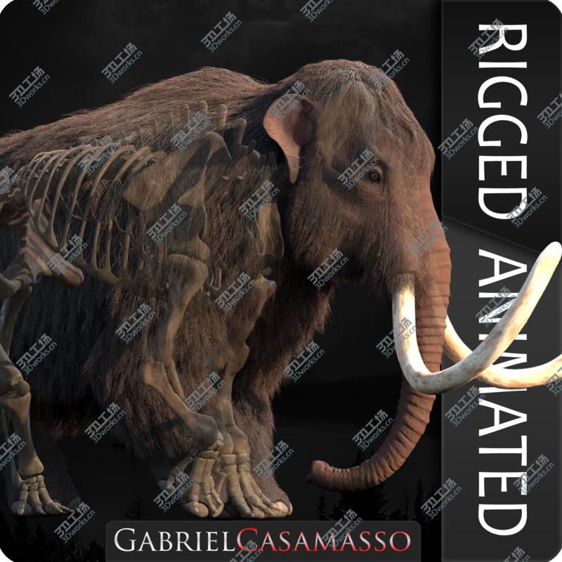images/goods_img/20210319/3D Mammuthus primigenius Anatomy Pack model/1.jpg